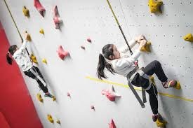 福勒：我认为利物浦会很想念迪亚斯，他可以破解密集防守